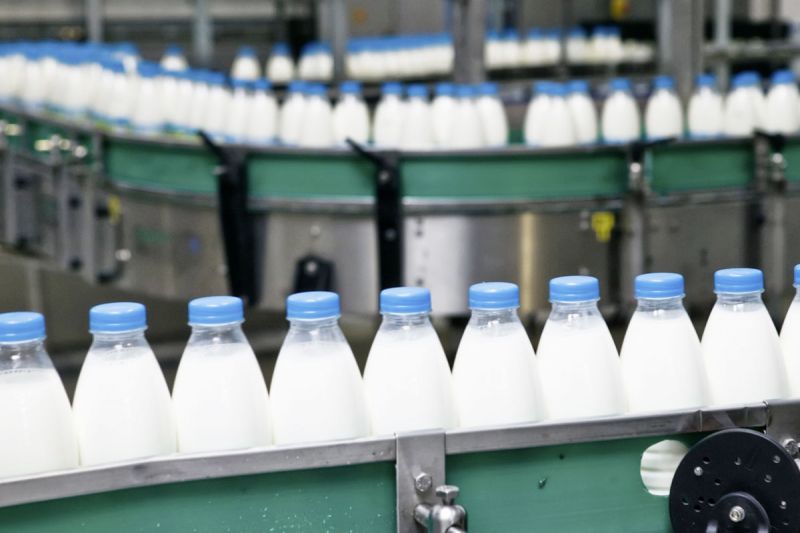 Lebensmittelindustrie