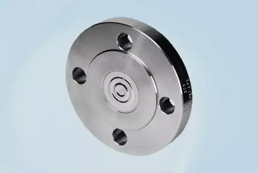 Flanged diaphragm seal